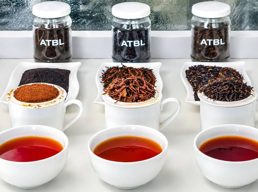 Tea tasting and sampling