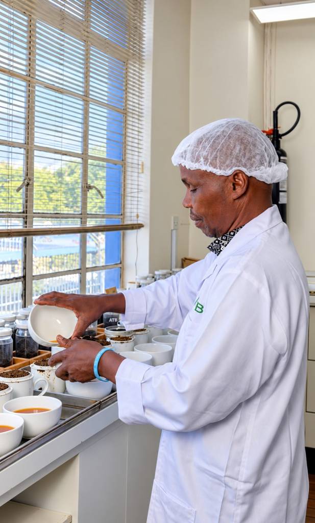 Tea tasting and sampling services